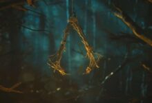 Assassin's Creed Hexe