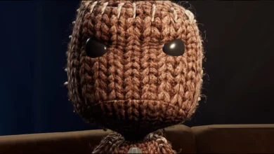 Sackboy