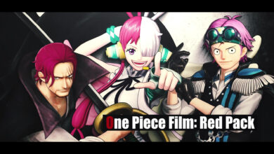 One Piece Pirate Warriors 4