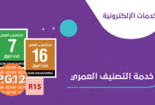 تصنيف الالعاب في السعودية