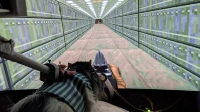 فأر يلعب Doom 2