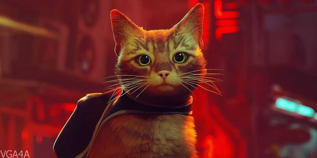 Stray